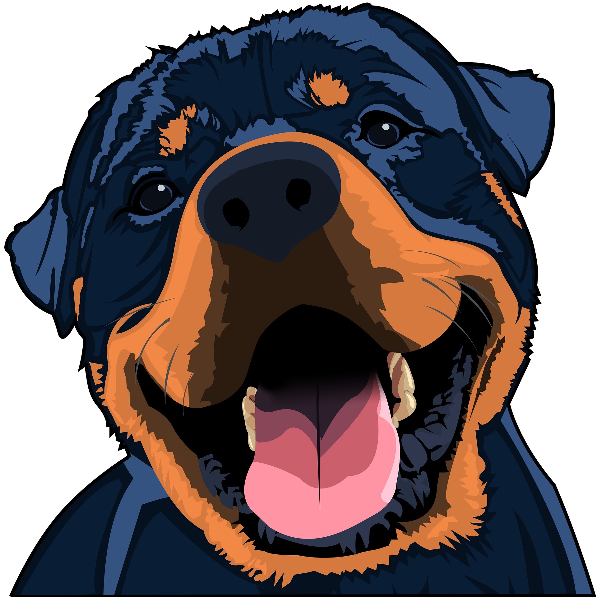 The Happy Dog Club Mobile dog wash groom walking services Perth Fremantle Cockburn rottweiller large