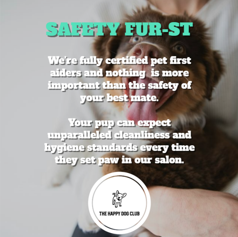 Reasons to choose The Happy Dog Club 4 - Safety First - Certified Pet First Aider Australian Red Cross